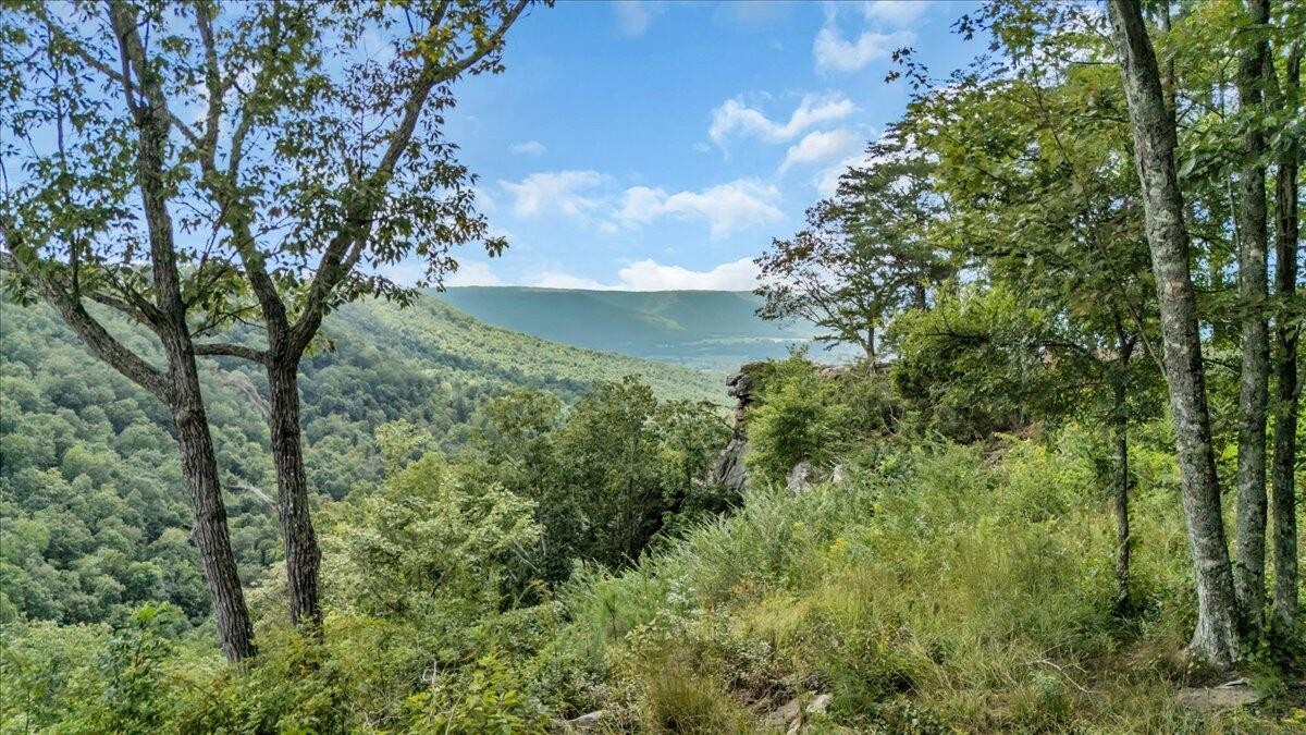 0 Raulston Falls Drive Jasper, TN 37347 - Photo 5 of 21 a view of a lake with a yard