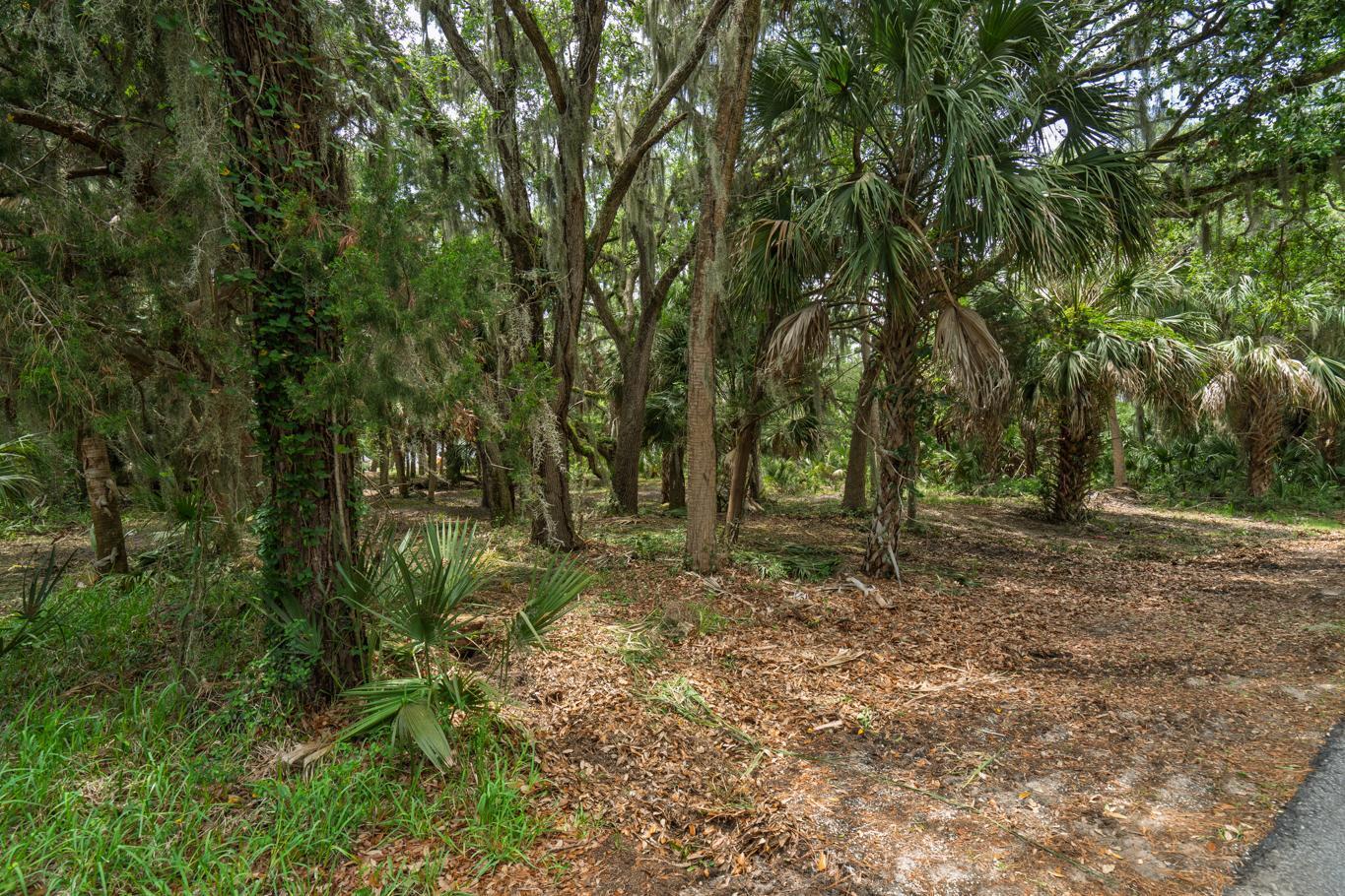 3322 Myrtle Street Edisto Island, SC 29438 - Photo 3 of 26