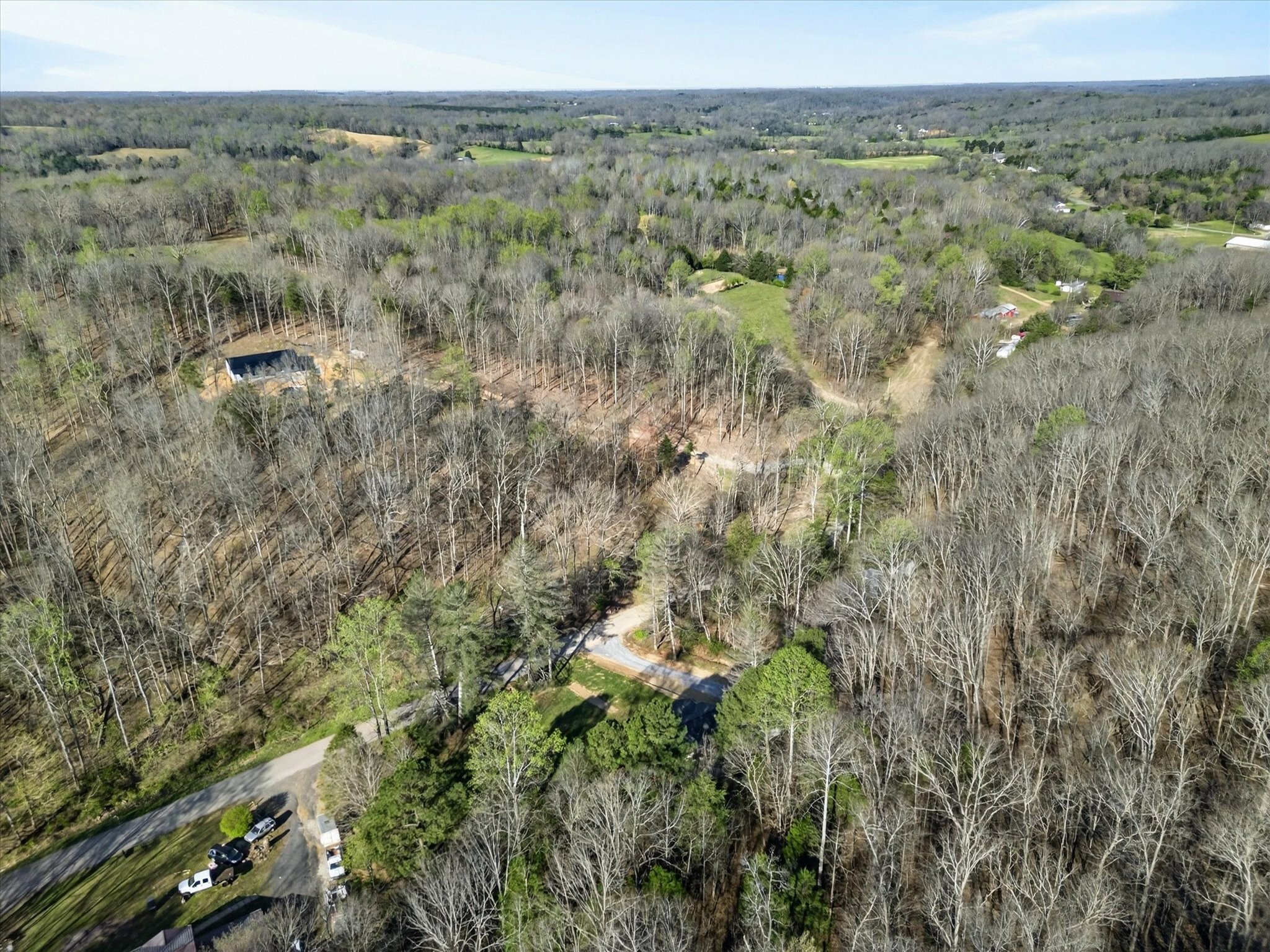 5075 Logan Road Cunningham, TN 37052 - Photo 20 of 22 an aerial view of forest