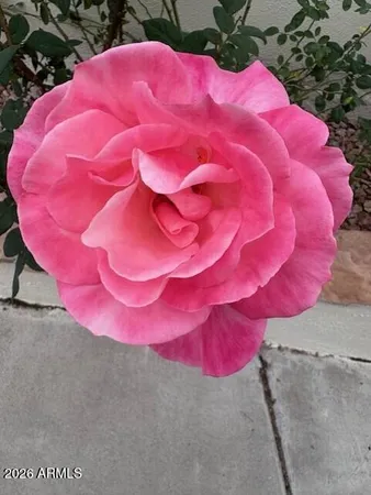 $1,099,000 | 155 North Brookside Street, Chandler, AZ 85225