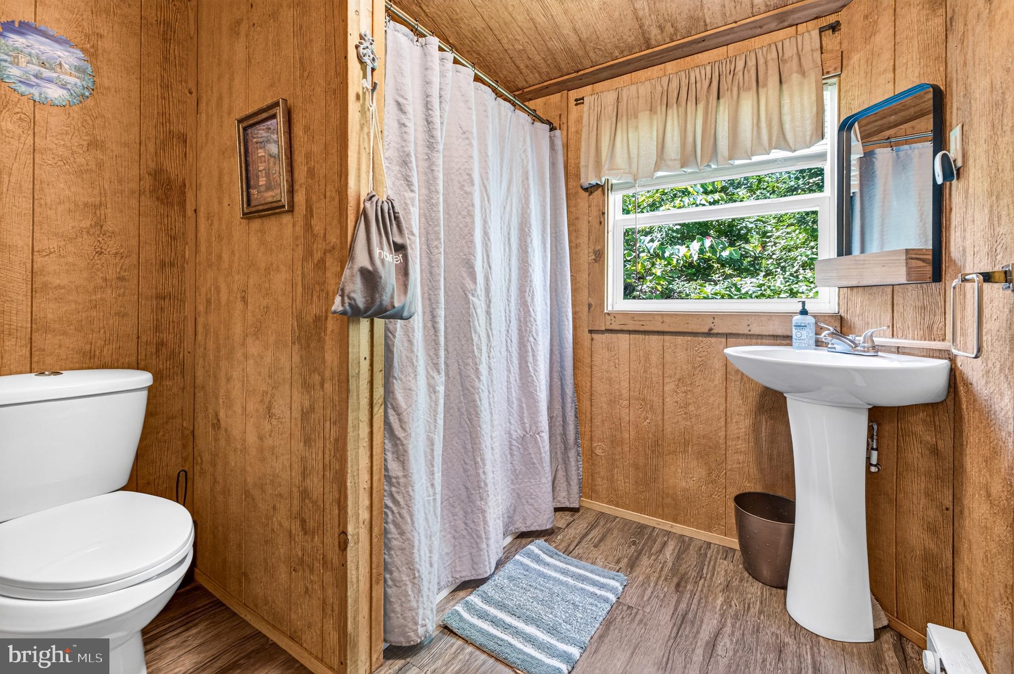 707 Overlook Drive Rileyville, VA 22650 - Photo 49 of 94