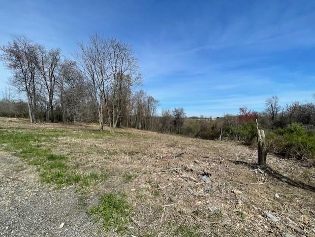 0 Hookstown Grade Road Clinton, PA 15026 - Photo 1 of 5 a fire hydrant in the middle of a field