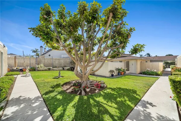 a view of a yard with plants and a large tree