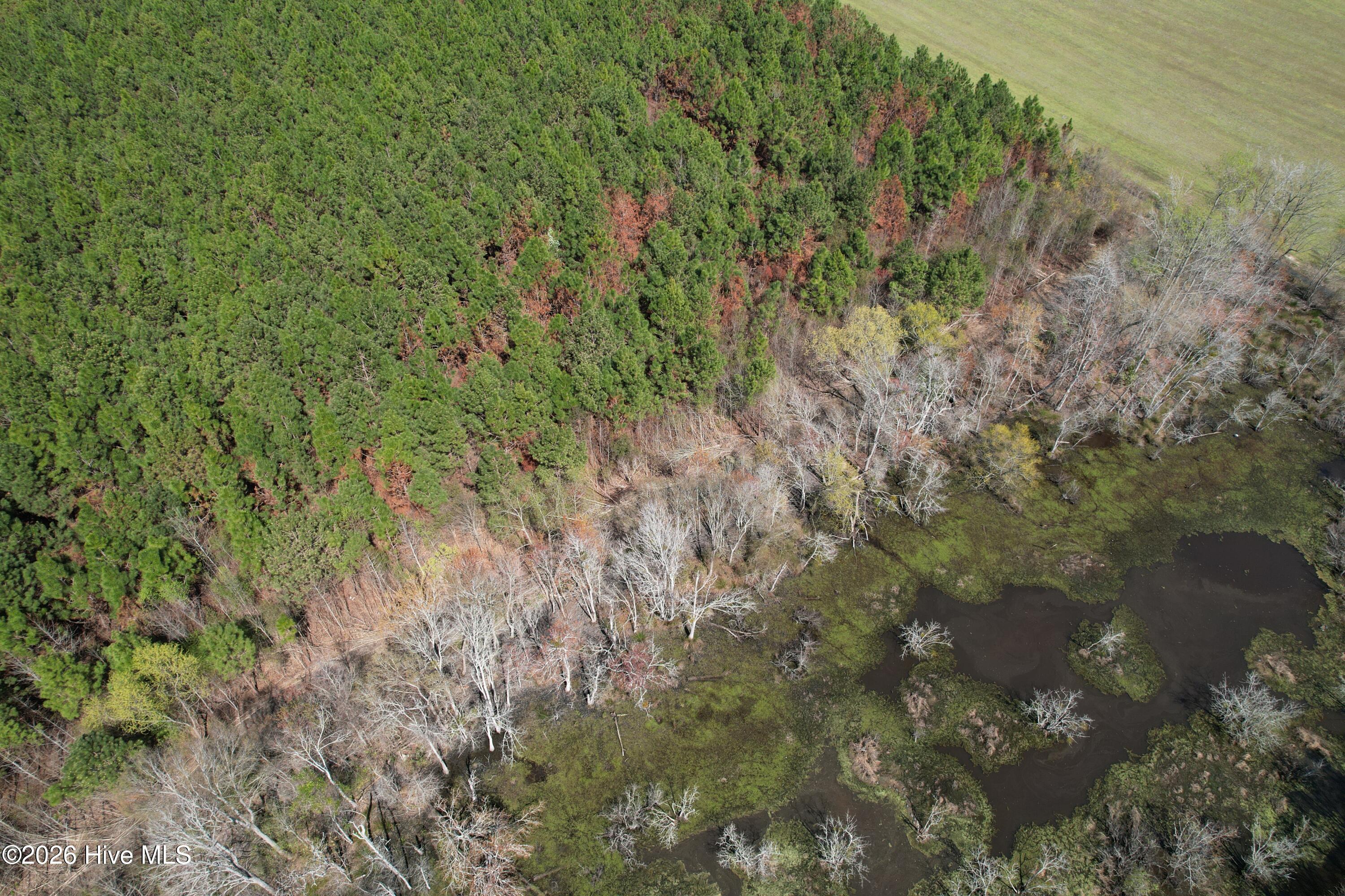 0 Old Stake Road Clarendon, NC 28432 - Photo 14 of 37 Image 12
