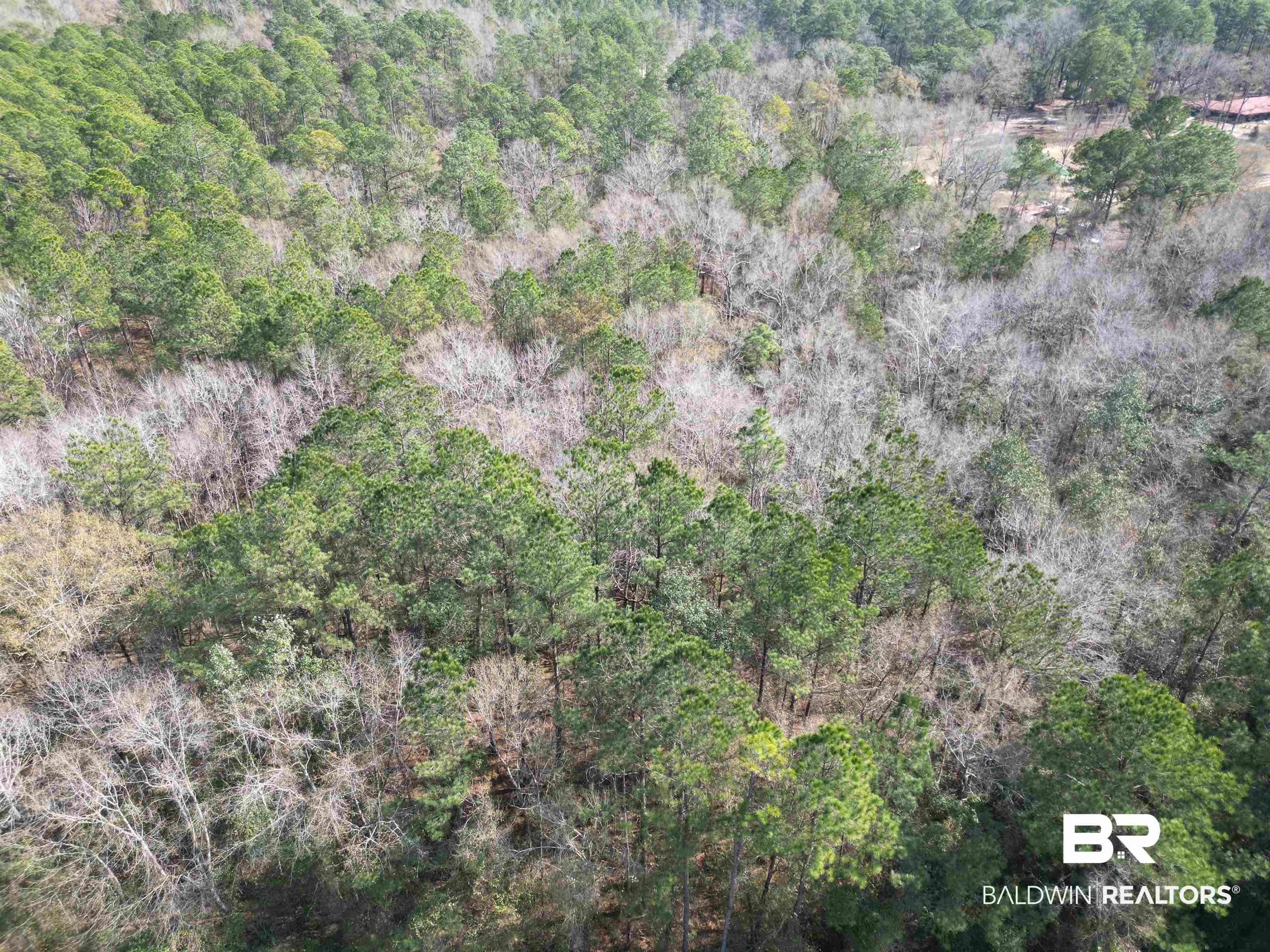 0 Highway 41 Range, AL 36473 - Photo 9 of 11 Aerial view of property's location featuring a forest