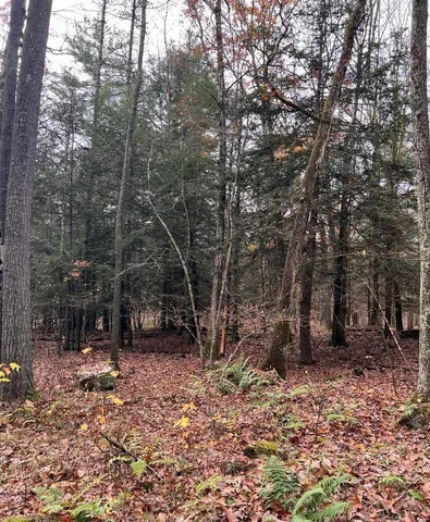 $69,000 | 91 Laurie Lane, Cairo, NY 12413