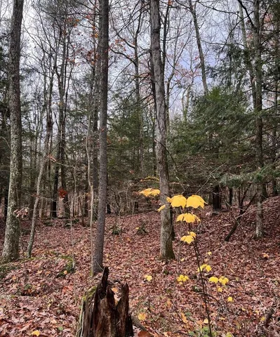 $69,000 | 91 Laurie Lane, Cairo, NY 12413