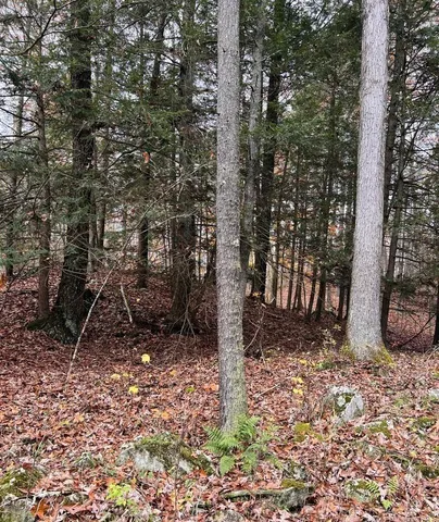 $69,000 | 91 Laurie Lane, Cairo, NY 12413