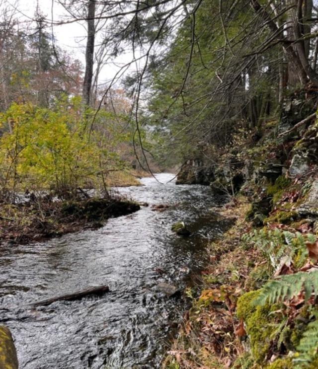 91 Laurie Lane Cairo, NY 12413 - Photo 3 of 15 Property view of water