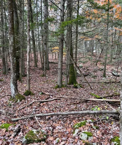 $69,000 | 91 Laurie Lane, Cairo, NY 12413