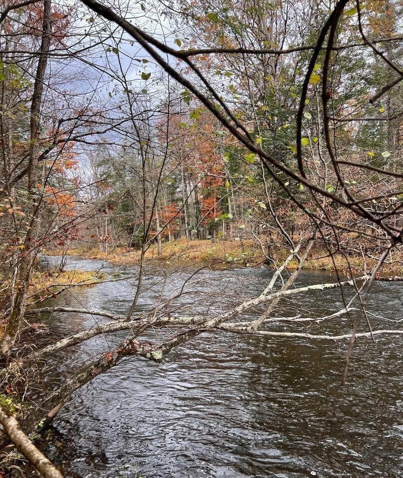 91 Laurie Lane Cairo, NY 12413 - Photo 9 of 15 Water view