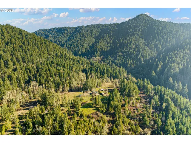 a view of a lush green hillside and a building