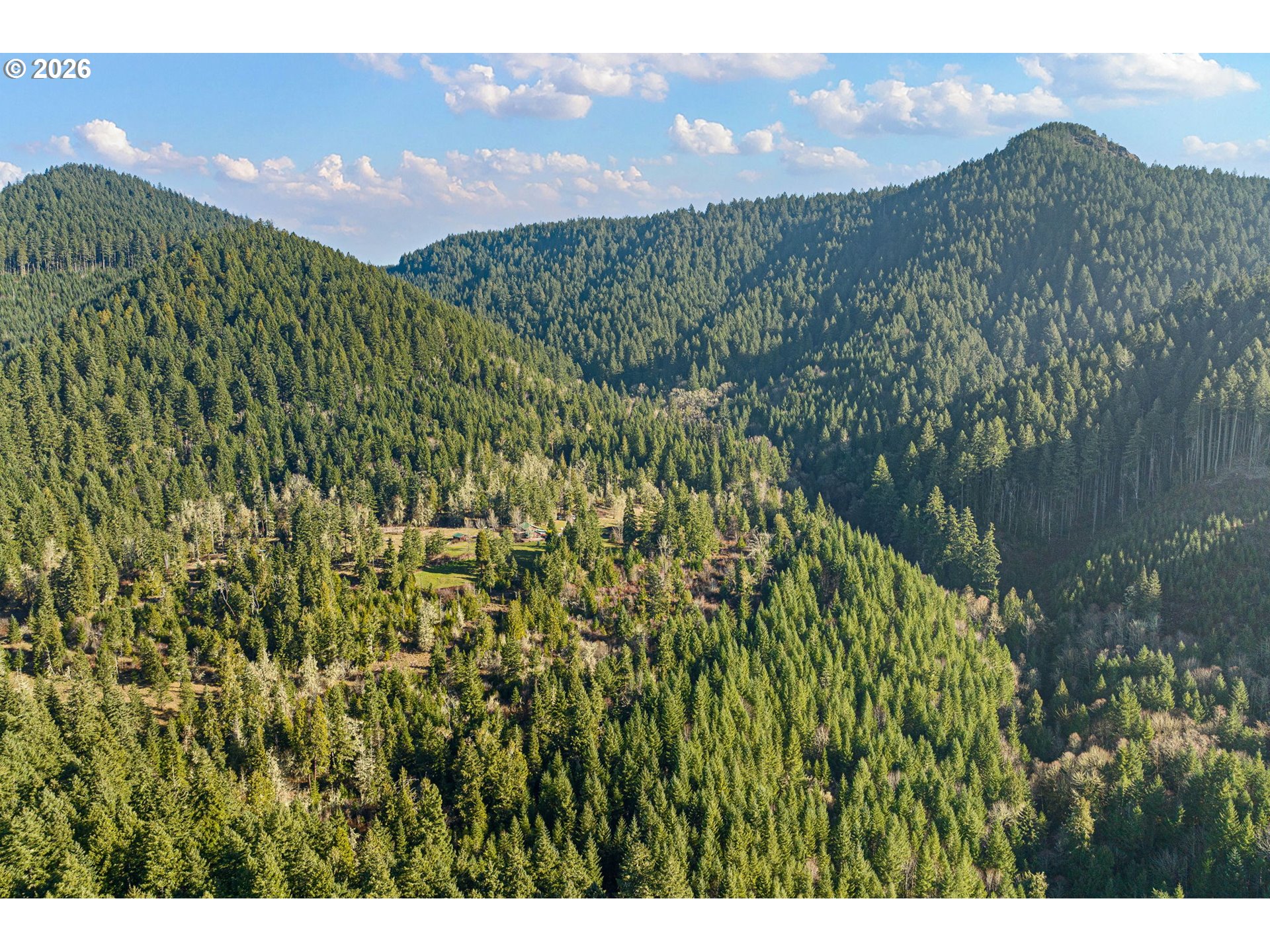 80181 Lost Creek Road Dexter, OR 97431 - Photo 20 of 44