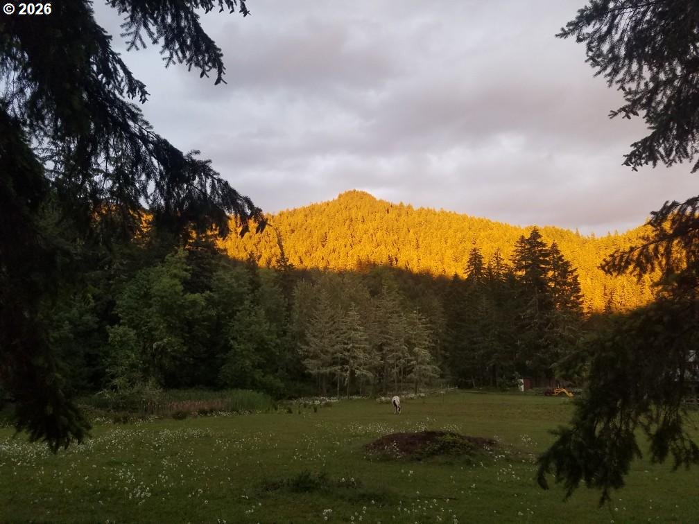 80181 Lost Creek Road Dexter, OR 97431 - Photo 29 of 44