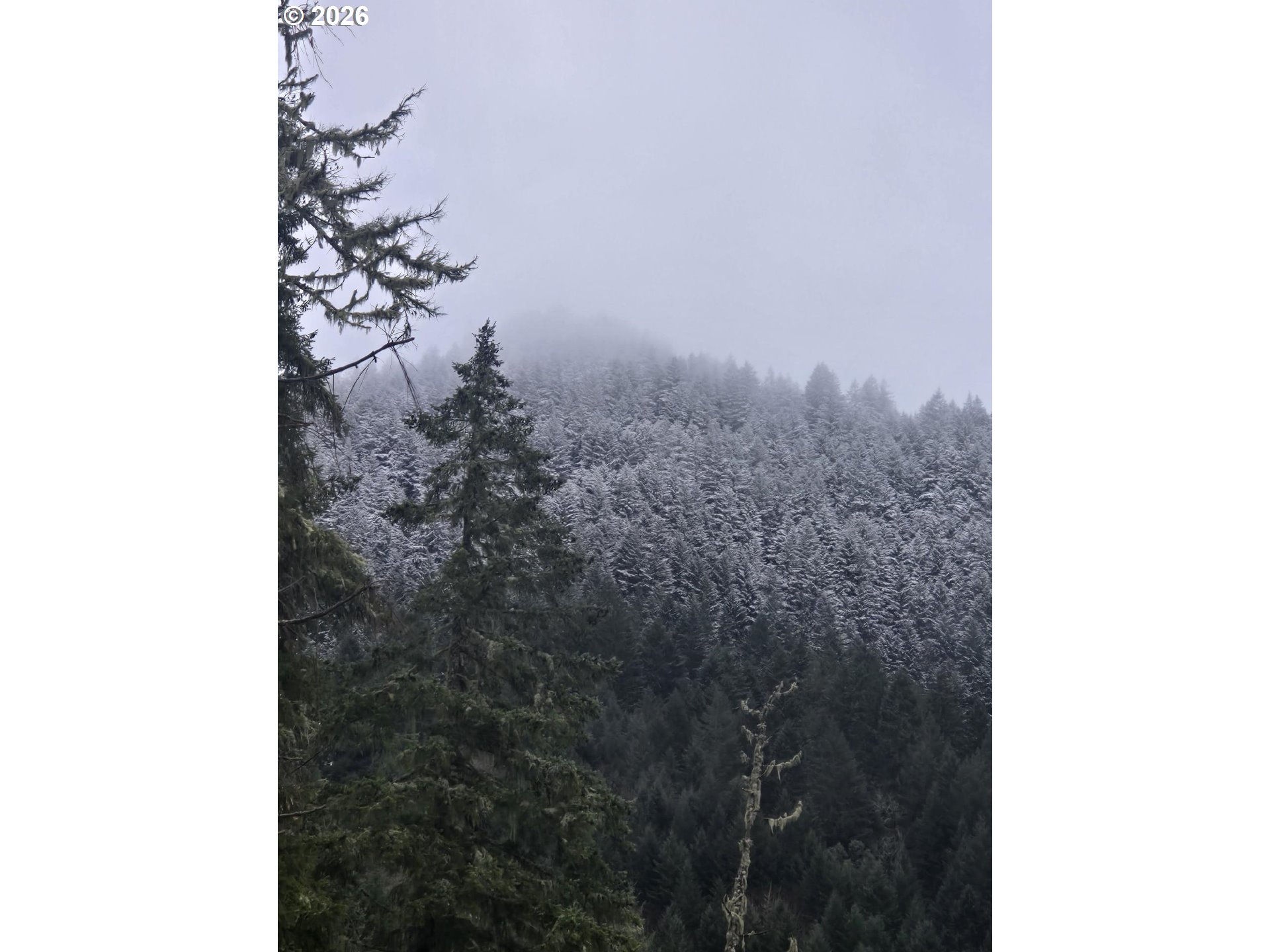 80181 Lost Creek Road Dexter, OR 97431 - Photo 32 of 44