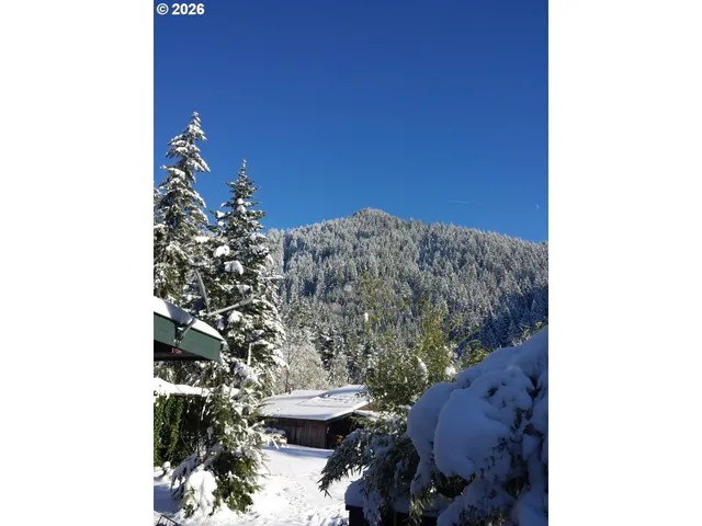 a front view of house with yard and trees