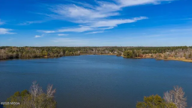 $995,000 | 119 Springs Court North, Lizella, GA 31052