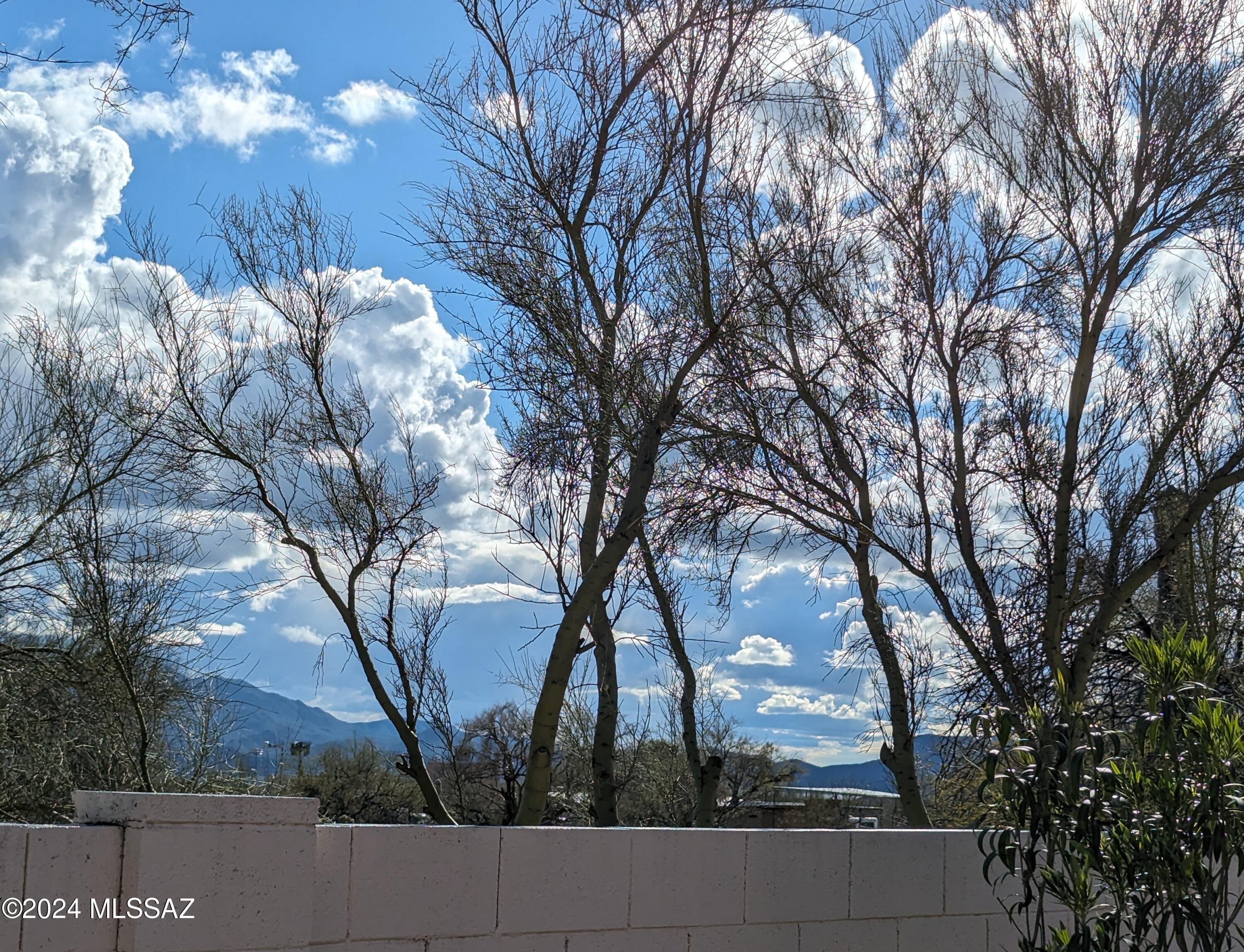 3589 West Thundercloud Loop Tucson, AZ 85742 - Photo 28 of 34