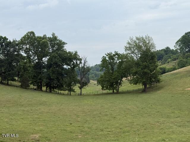 Tbd South Summer Sound Road Piney Flats, TN 37686 - Photo 14 of 22 IMG_8048