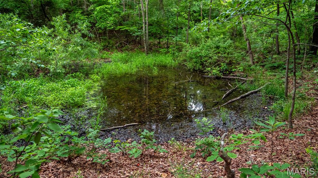 0 Hwy M Cabool, MO 65689 - Photo 19 of 68