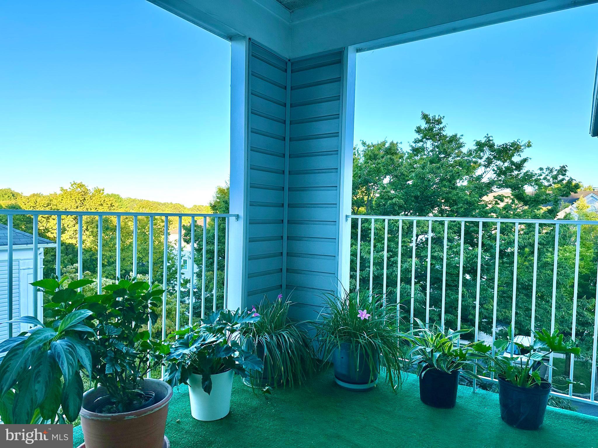 2601 Camelback Lane, Unit 1210 Silver Spring, MD 20906 - Photo 11 of 32 Balcony with a beautiful view