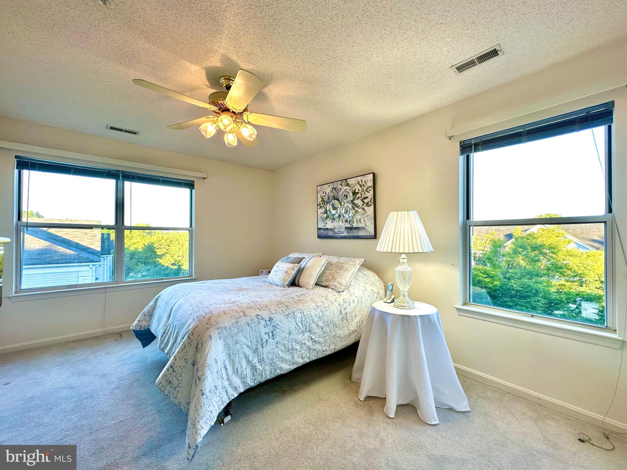 2601 Camelback Lane, Unit 1210 Silver Spring, MD 20906 - Photo 12 of 32 Primary bedroom with big windows