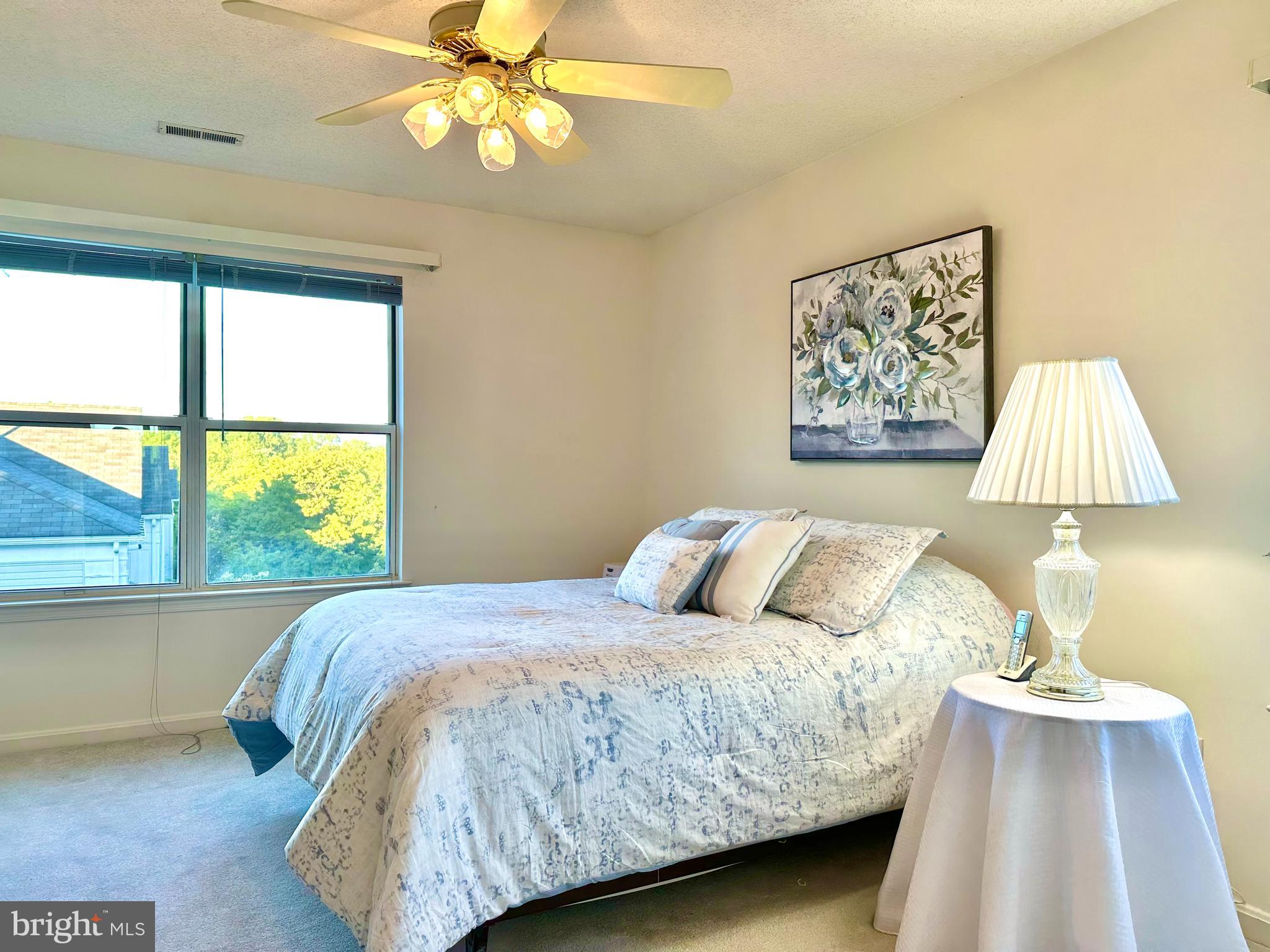 2601 Camelback Lane, Unit 1210 Silver Spring, MD 20906 - Photo 13 of 32 Primary bedroom has a ceiling fan