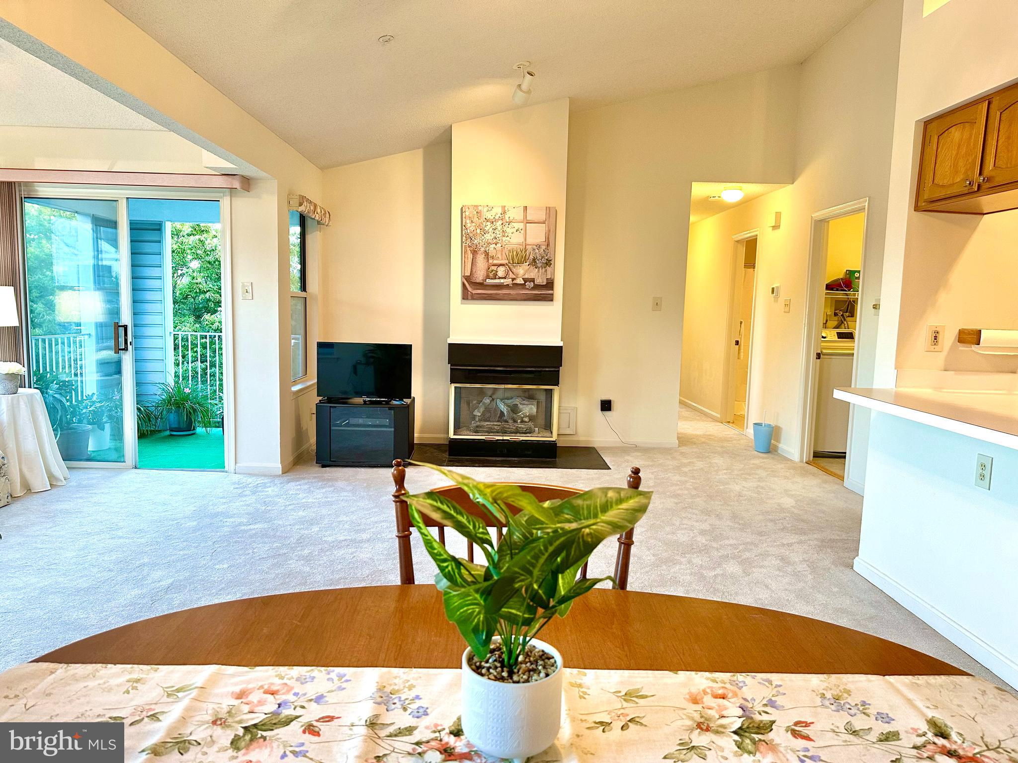 2601 Camelback Lane, Unit 1210 Silver Spring, MD 20906 - Photo 5 of 32 Living room has a gas fireplace
