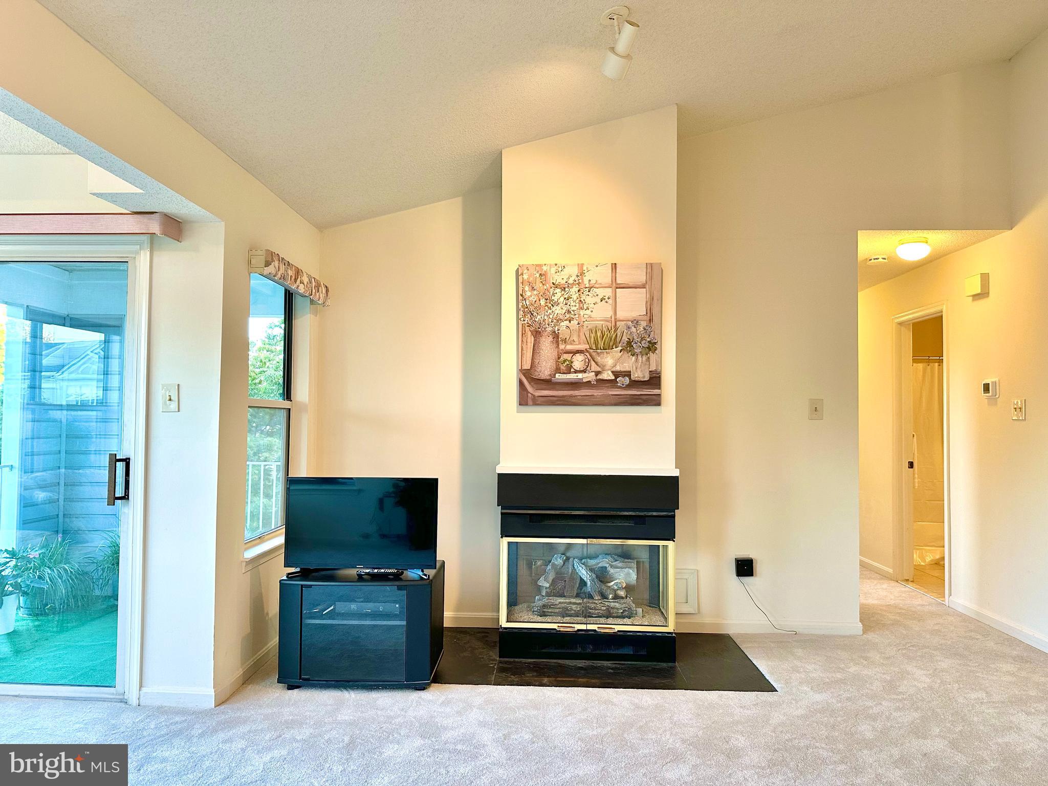 2601 Camelback Lane, Unit 1210 Silver Spring, MD 20906 - Photo 8 of 32 Gas fireplace in the living room