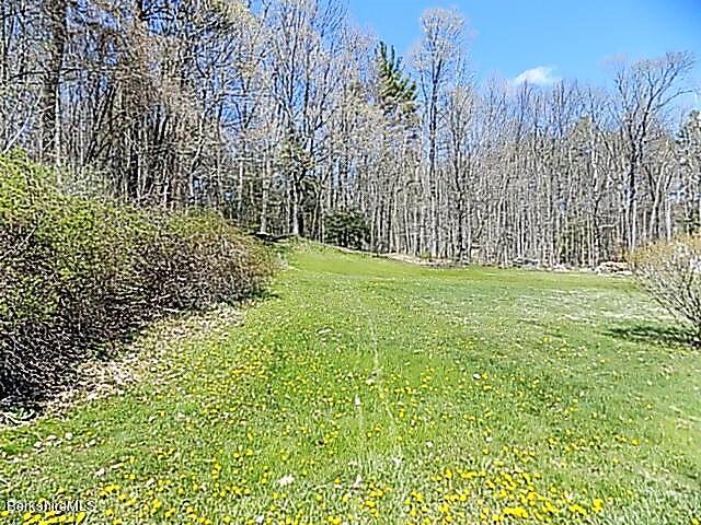 87 New Lenox Road Lenox, MA 01240 - Photo 31 of 34 31 Back Yard 2