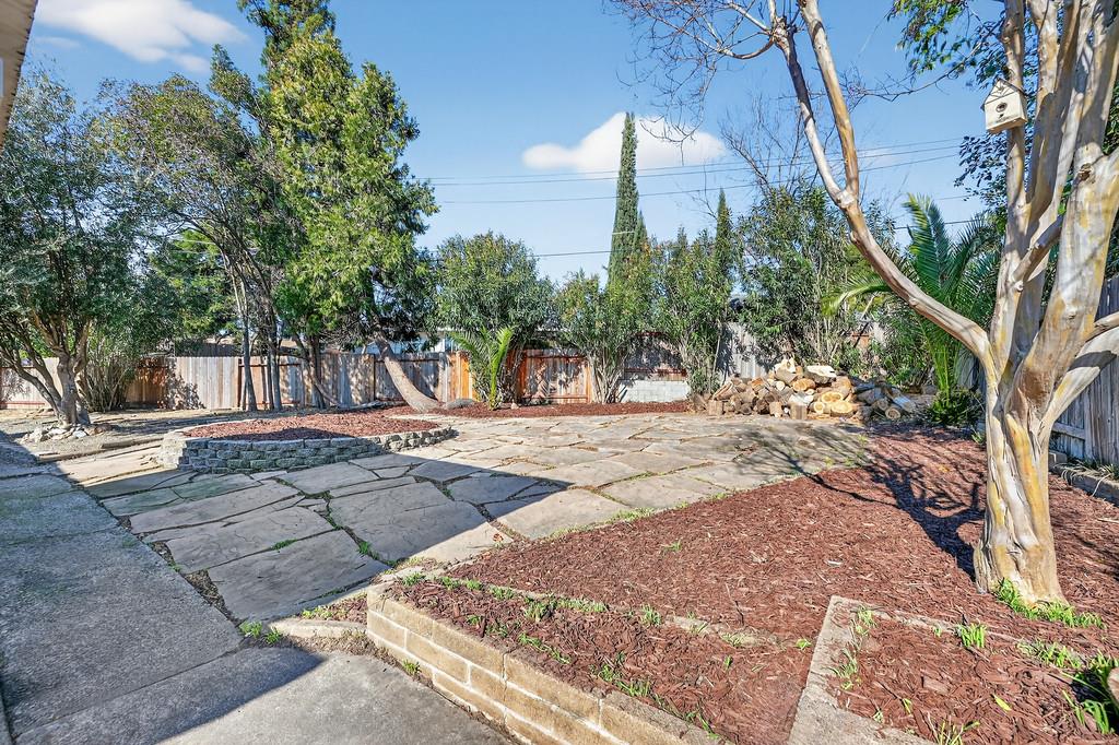 7517 Farmgate Way Citrus Heights, CA 95610 - Photo 32 of 35 a view of a yard with plants and trees