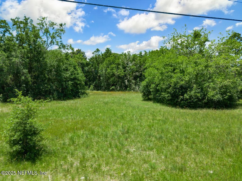 90 Bird Road Jacksonville, FL 32218 - Photo 54 of 55 0 Bird Rd-5