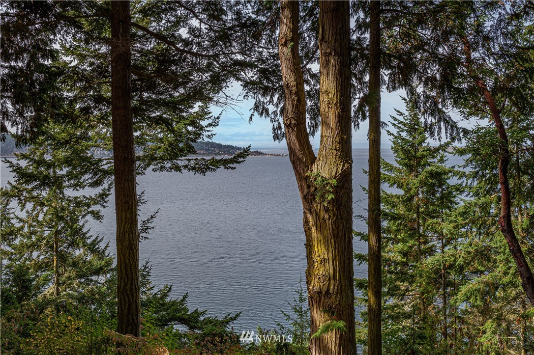 364 Beckett Point Road Port Townsend, WA 98368 - Photo 20 of 39 Gallery Image 20