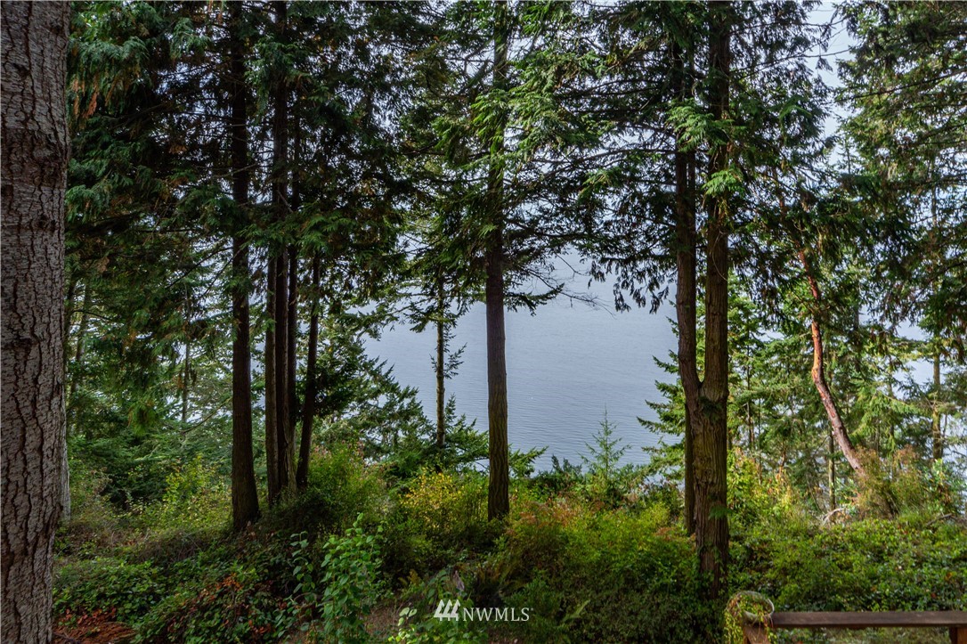 364 Beckett Point Road Port Townsend, WA 98368 - Photo 3 of 39 Gallery Image 3