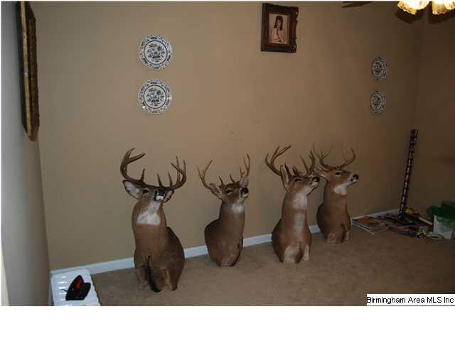 1536 Rochester Road Jacksonville, AL 36265 - Photo 26 of 32 Gallery Image 26