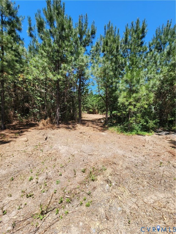 Lot 3 Deep Creek Road Kents Store, VA 23084 - Photo 2 of 10 Newly mulched path leading into the back field