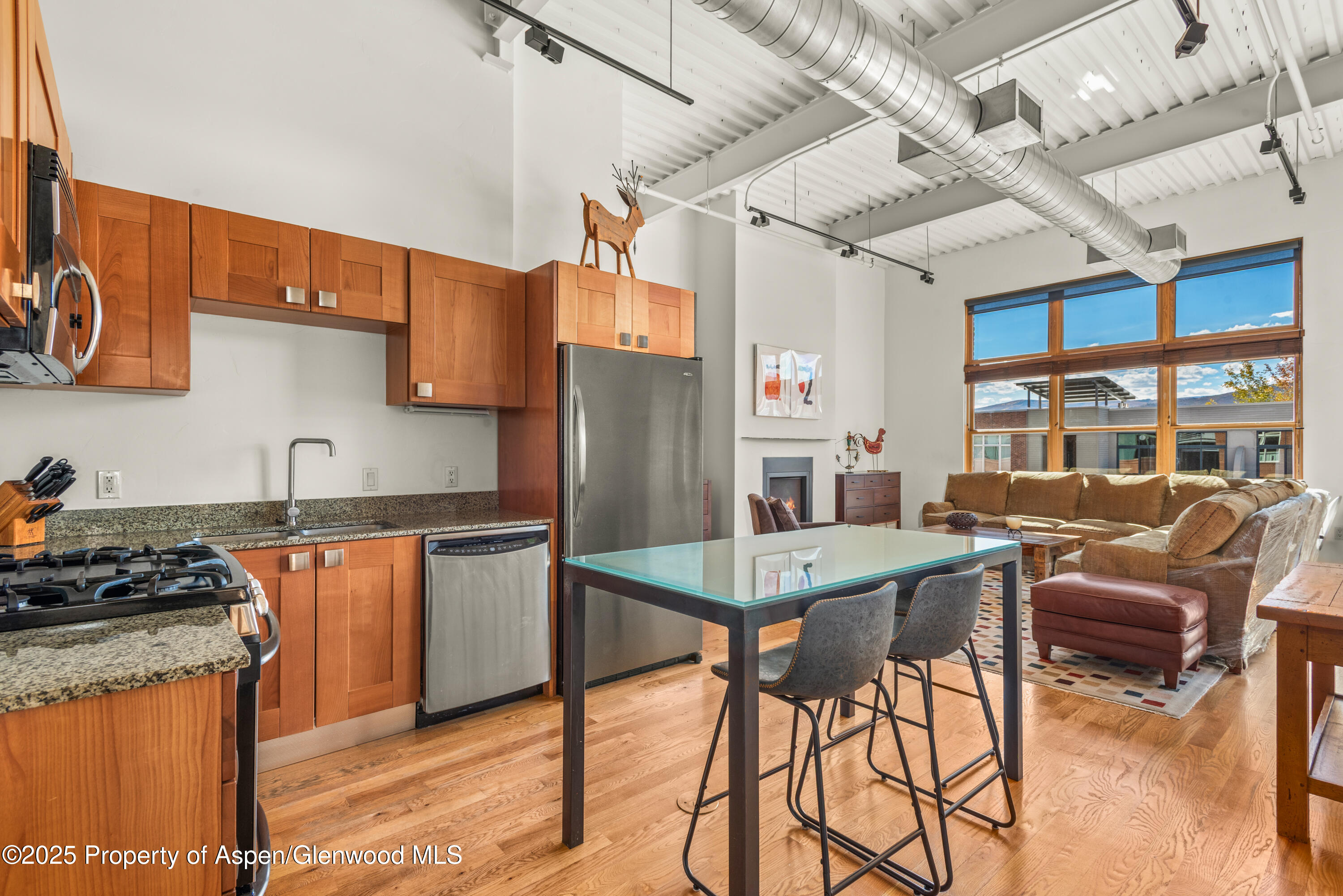 231 Robinson Street, Unit R340 Basalt, CO 81621 - Photo 6 of 11 09-231RobinsonSt304_250927009