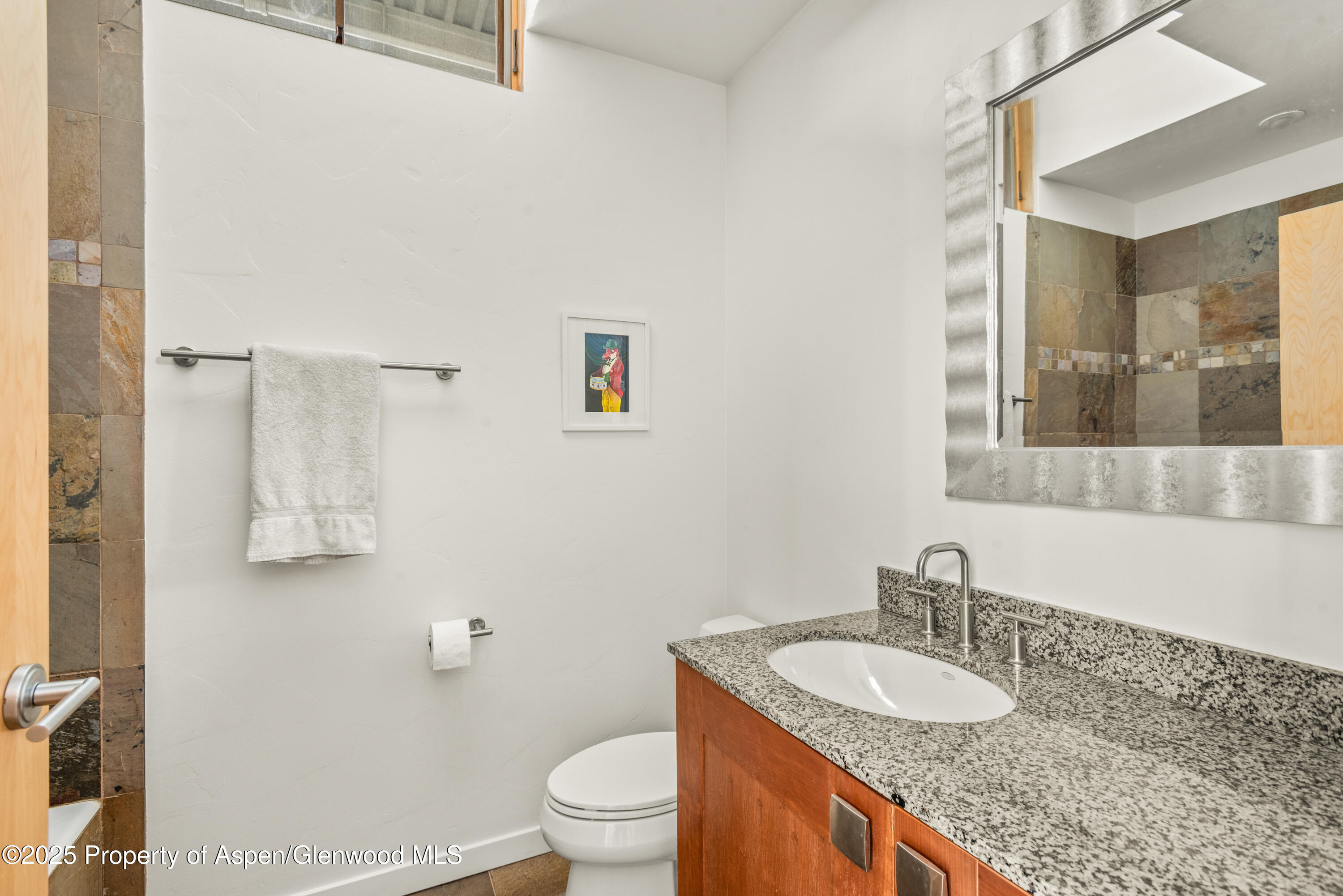 231 Robinson Street, Unit R340 Basalt, CO 81621 - Photo 9 of 11 12-231RobinsonSt304_250927012