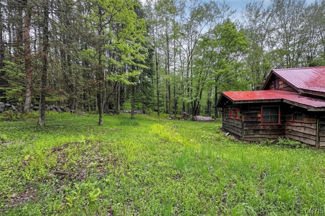 1848 Gray-Wilmurt Road Ohio, NY 13324 - Photo 31 of 39