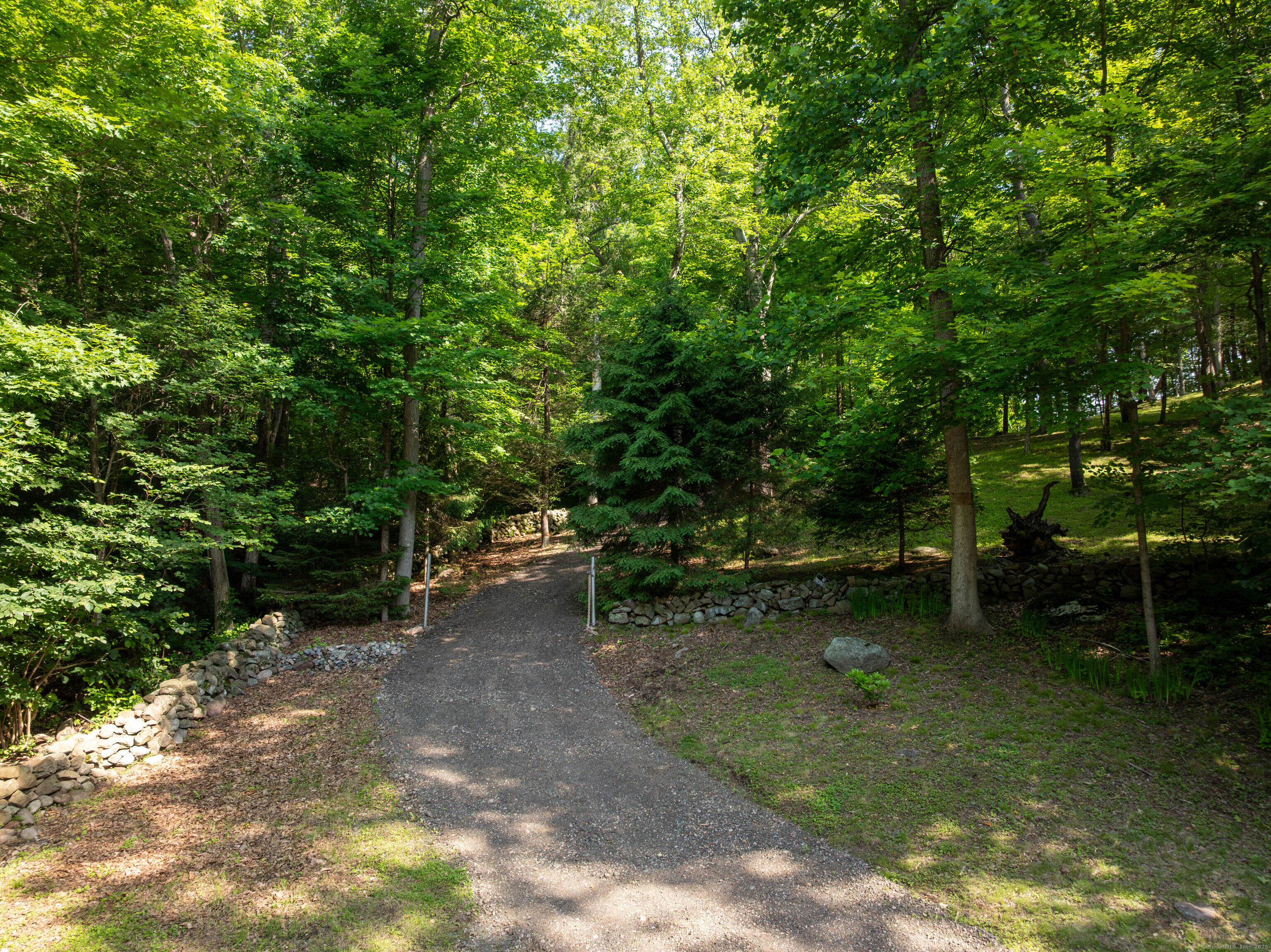 a view of backyard with plants and outdoor seating