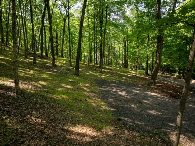 a view of outdoor space and green space