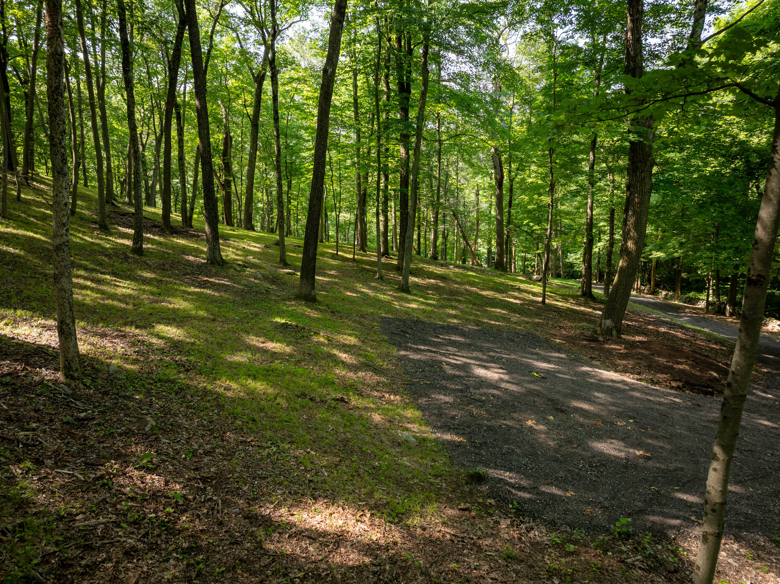 81 Mountain Road Prospect, CT 06712 - Photo 11 of 23 a big yard with lots of green space and trees
