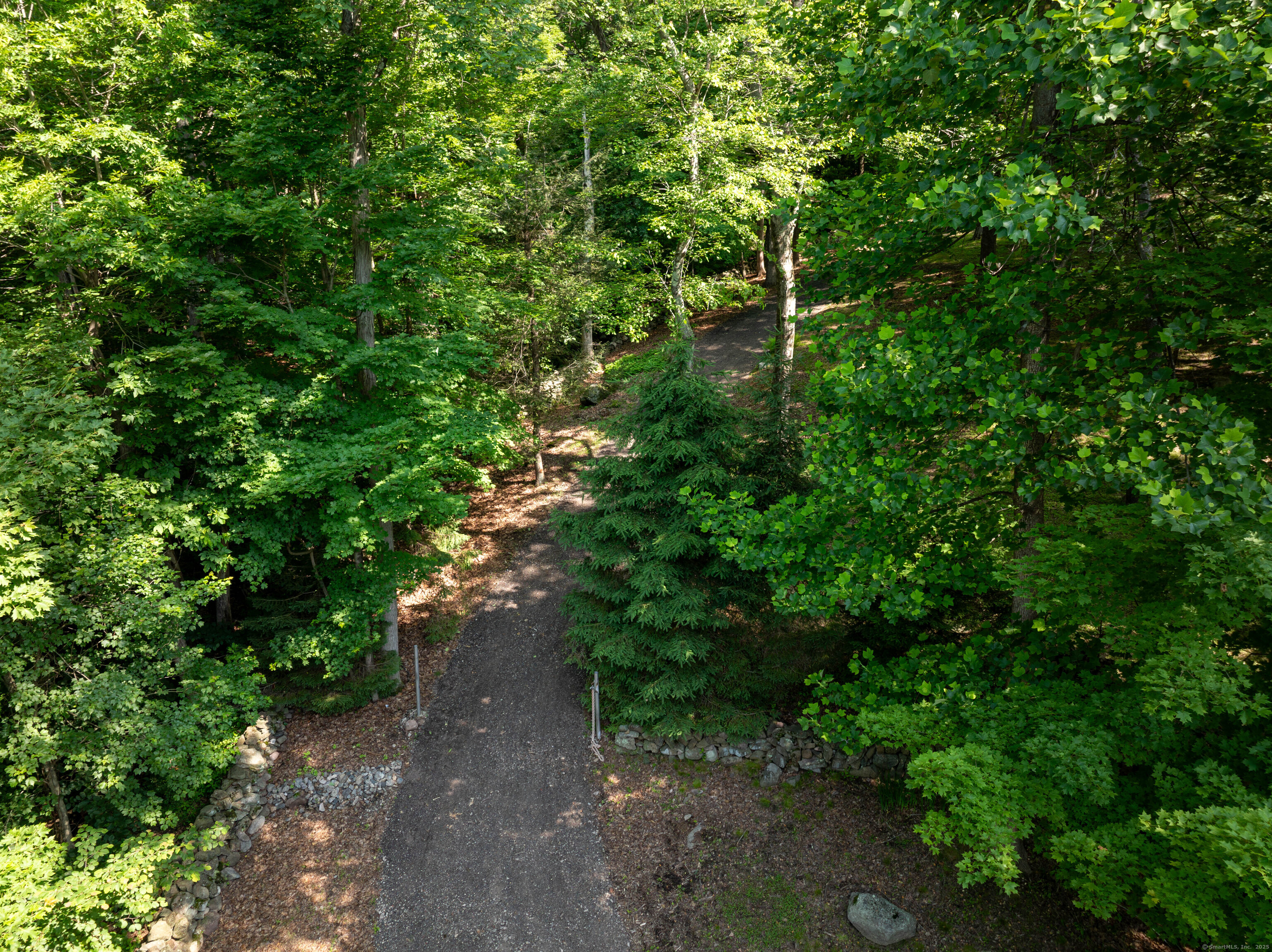 81 Mountain Road Prospect, CT 06712 - Photo 12 of 23 a view of a forest with large trees