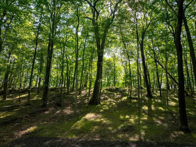 a view of outdoor space with trees
