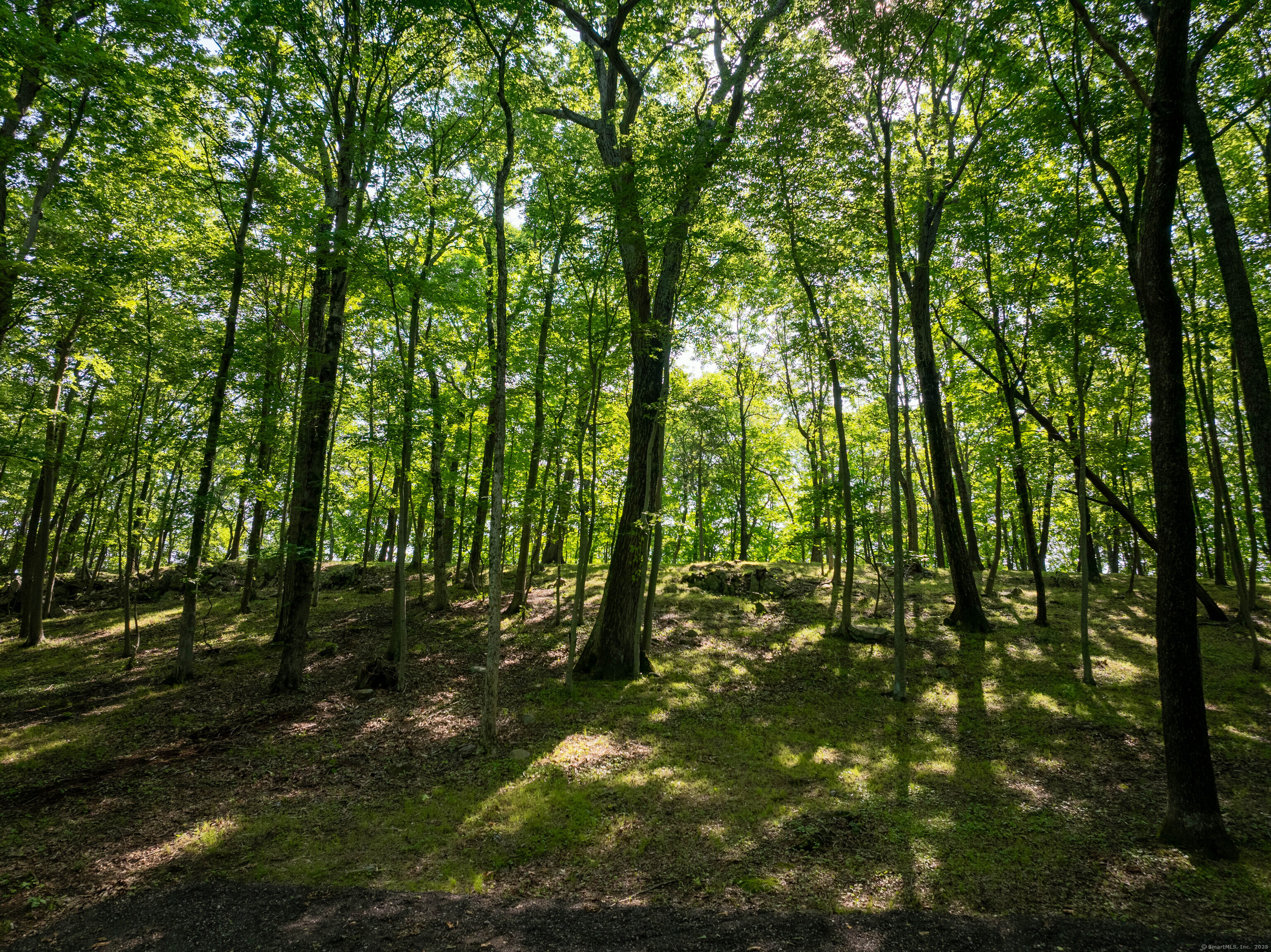81 Mountain Road Prospect, CT 06712 - Photo 13 of 23 a view of outdoor space and green space