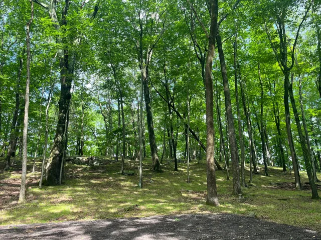 a view of road with trees