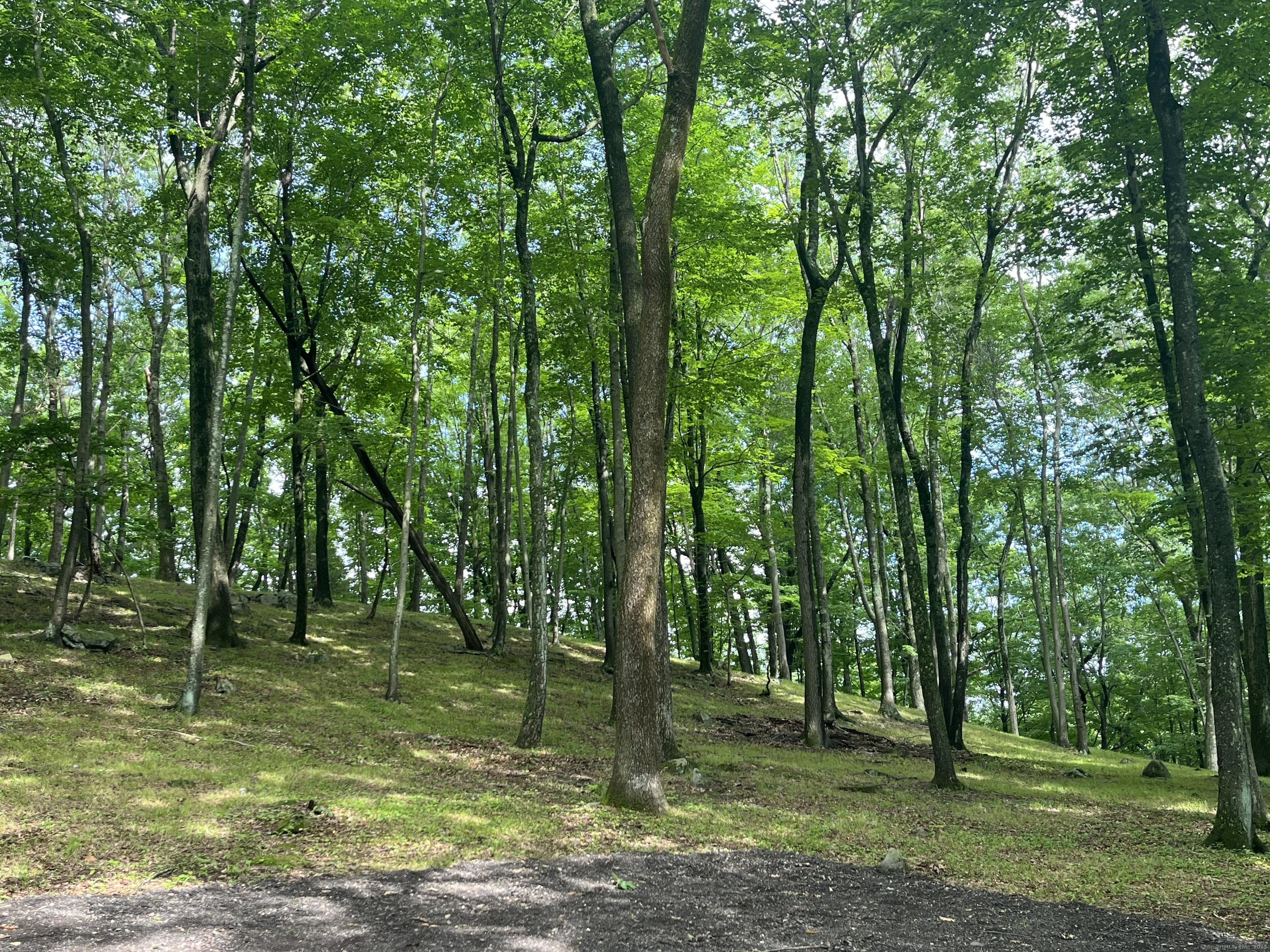 81 Mountain Road Prospect, CT 06712 - Photo 15 of 23 a view of outdoor space with trees