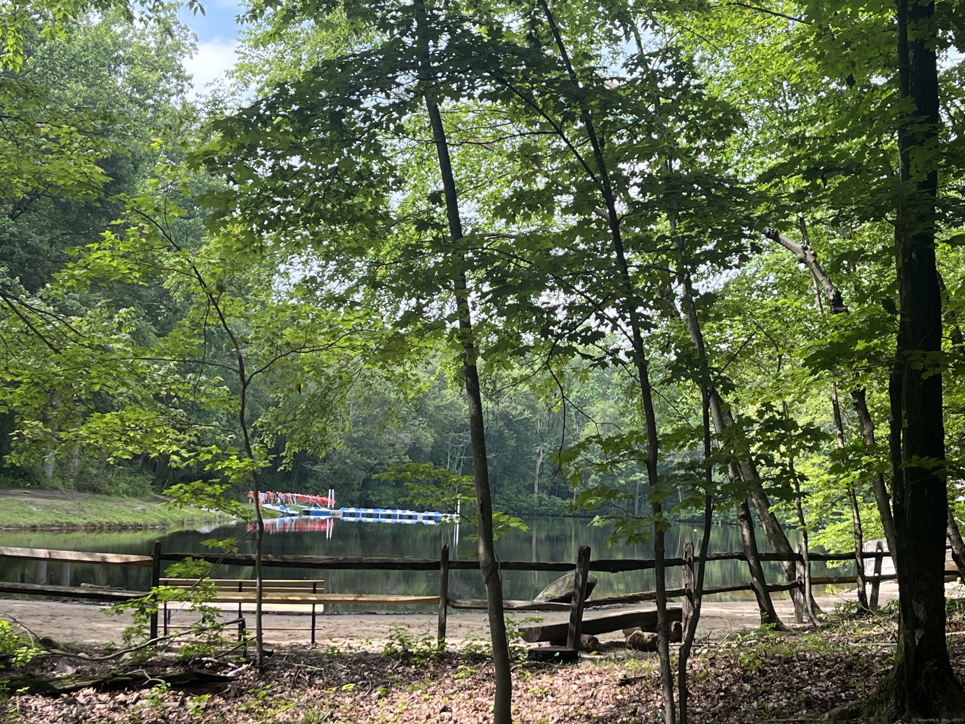 81 Mountain Road Prospect, CT 06712 - Photo 17 of 23 a view of a forest with trees
