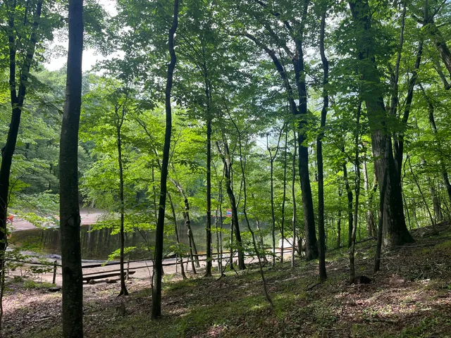 a view of outdoor space with trees
