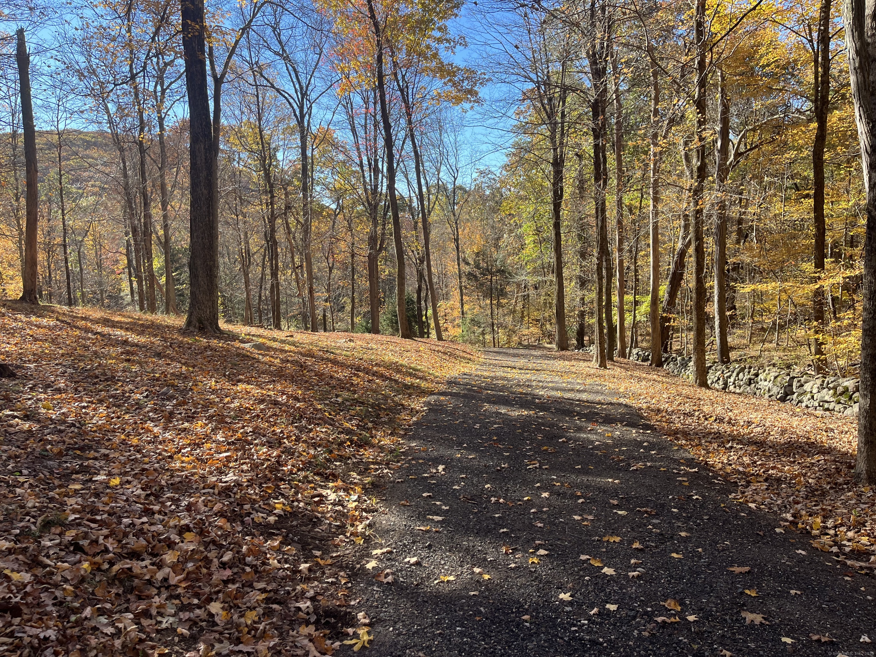 81 Mountain Road Prospect, CT 06712 - Photo 2 of 23 a view of large trees with yard